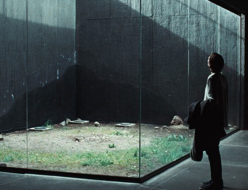 Film Festivals, Moving Online & What’s Next