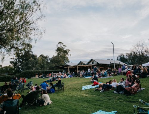 Blue Heeler Film Festival Runs With The Times